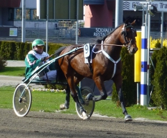 Toreador kval 150429-1 Thomas Åkerberg